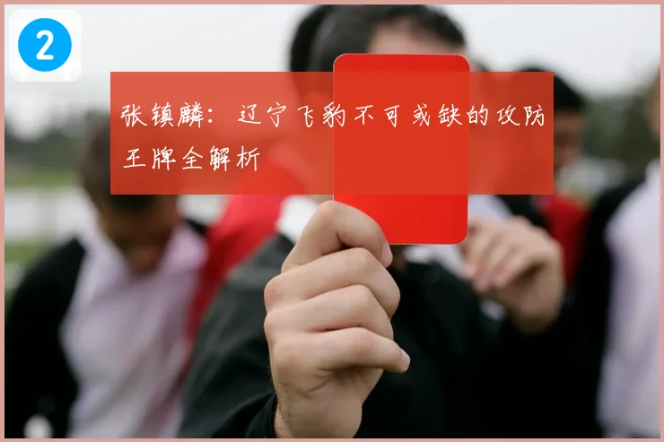 张镇麟：辽宁飞豹不可或缺的攻防王牌全解析