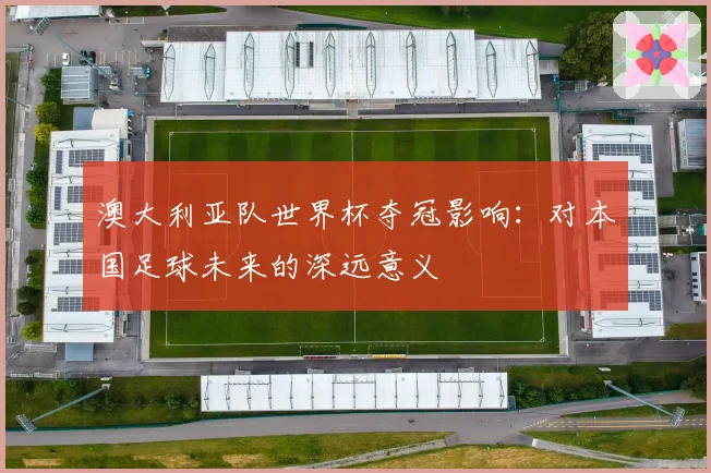 澳大利亚队世界杯夺冠影响：对本国足球未来的深远意义