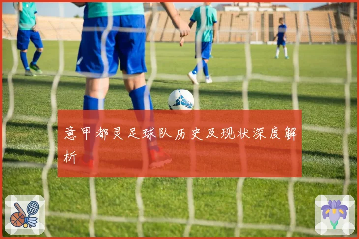 意甲都灵足球队历史及现状深度解析