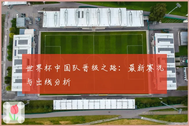 世界杯中国队晋级之路：最新赛况与出线分析