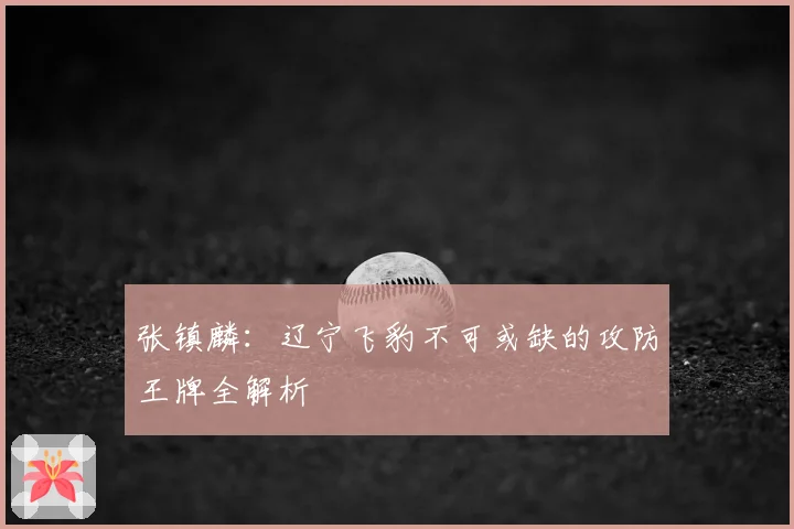 张镇麟：辽宁飞豹不可或缺的攻防王牌全解析
