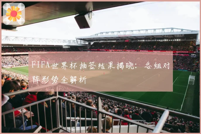FIFA世界杯抽签结果揭晓：各组对阵形势全解析