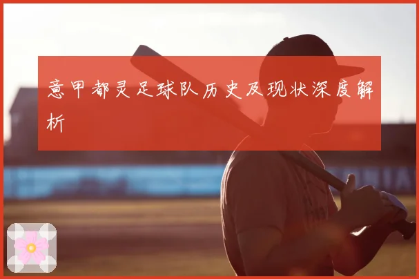 意甲都灵足球队历史及现状深度解析